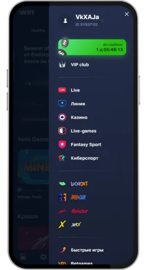 1Win VIP Club и меню профиля